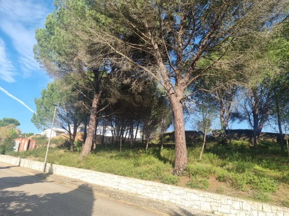 Helårsgrund i Constancia, Santarem - foto 3