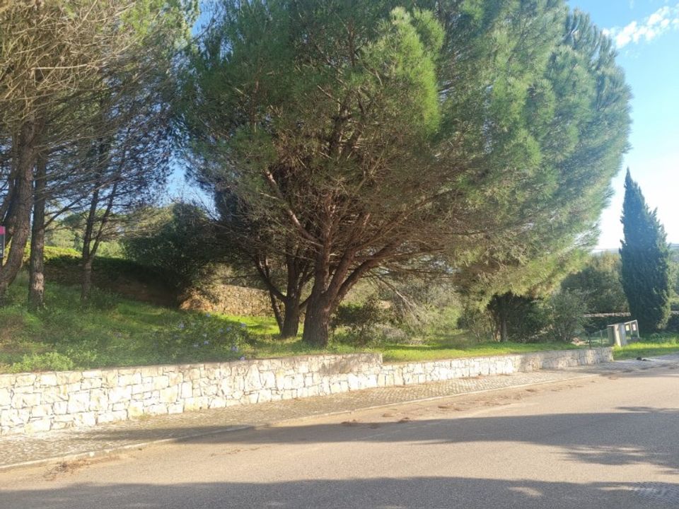 Helårsgrund i Constancia, Santarem - foto 4