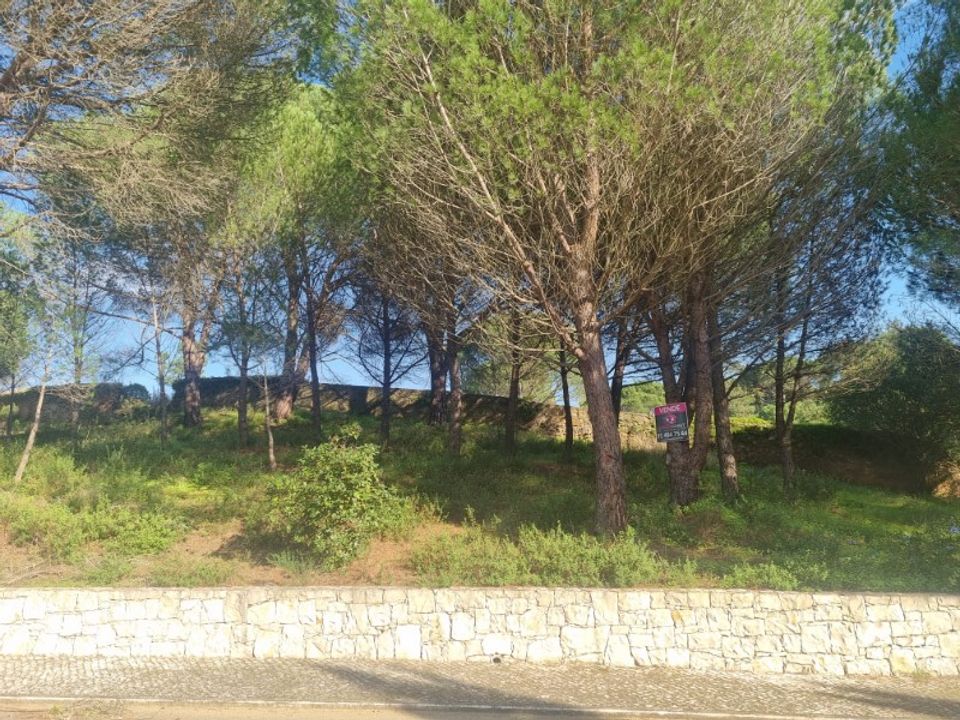 Helårsgrund i Constancia, Santarem - foto 5