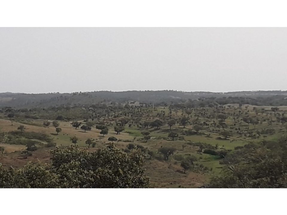Casa de campo en Portel, Evora - foto 2