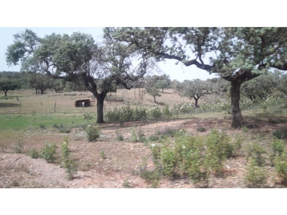Casa de campo en Portel, Evora - foto 5
