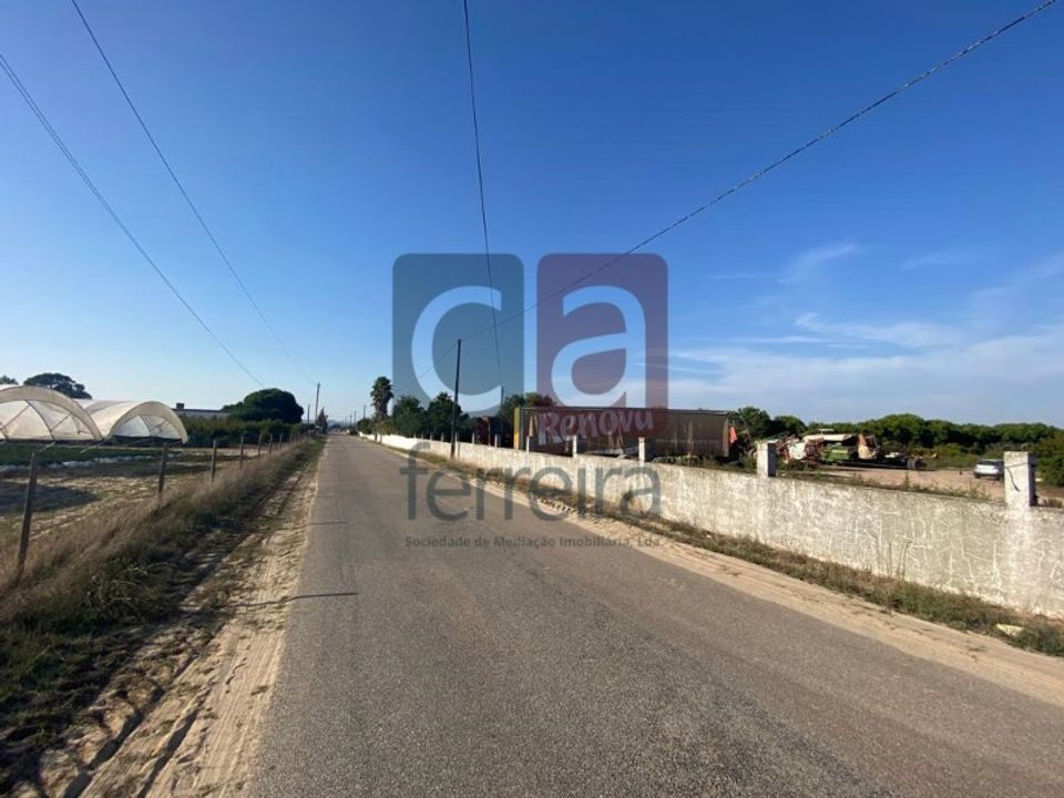 Tomt i Alpiarca, Santarem - bilde 3
