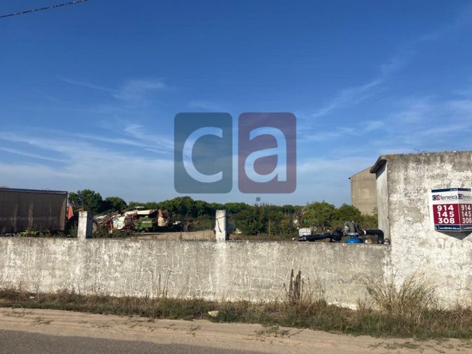 Tomt i Alpiarca, Santarem - bilde 5