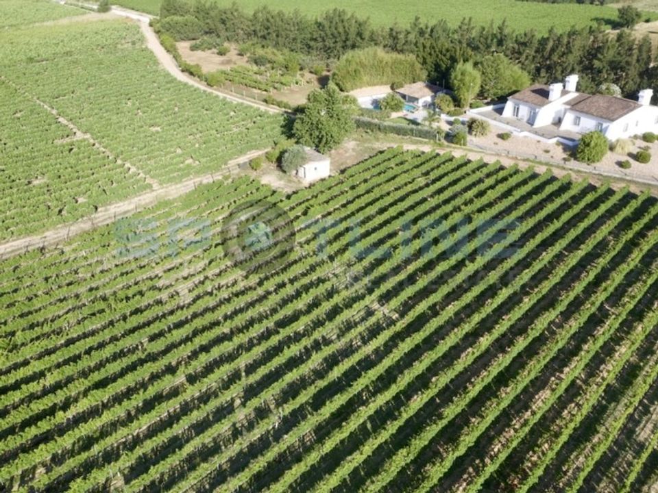 Villa i Palmela, Setubal - foto 2