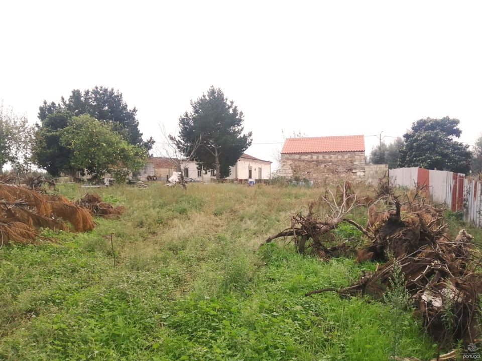 Landejendom i Ferreira do Zezere, Santarem - foto 3