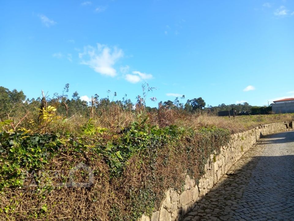 Helårsgrund i Barcelos, Braga - foto 5