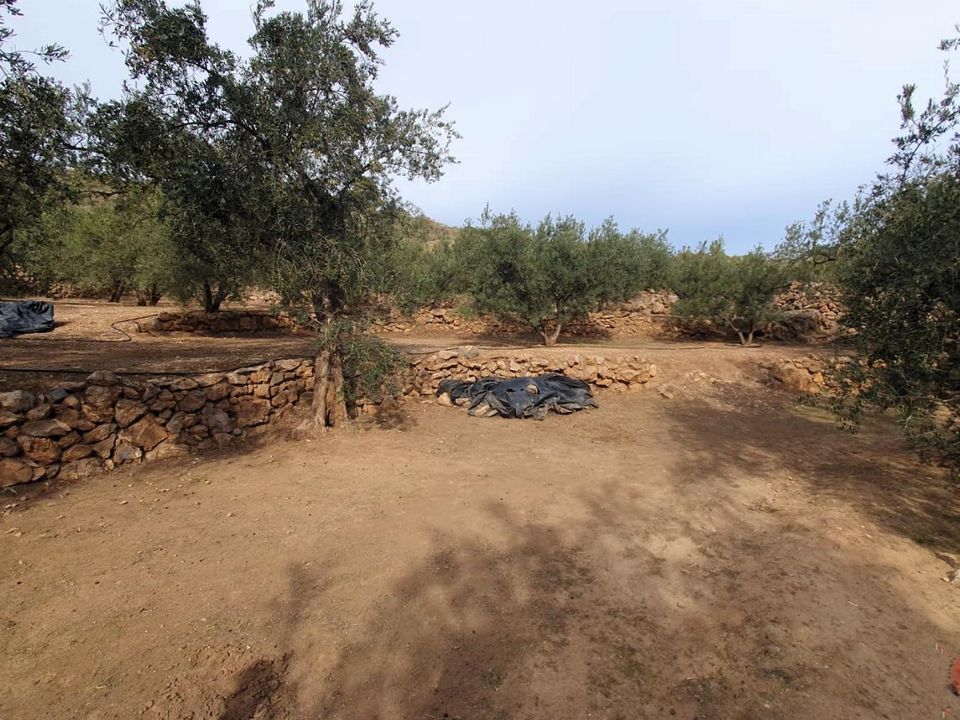 Terreno en Pinar, Granada - foto 2