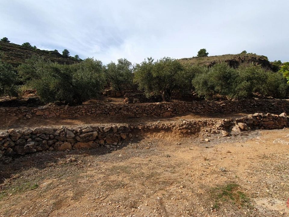 Terreno en Pinar, Granada - foto 5
