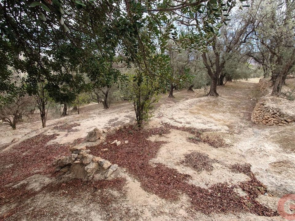 Terreno en Pinar, Granada - foto 2
