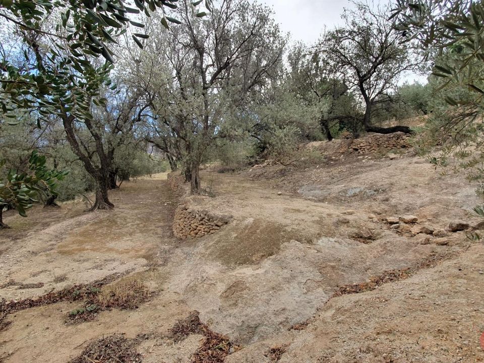 Terreno en Pinar, Granada - foto 3