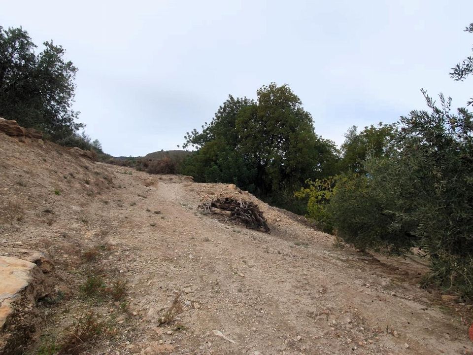 Terreno en Pinar, Granada - foto 5