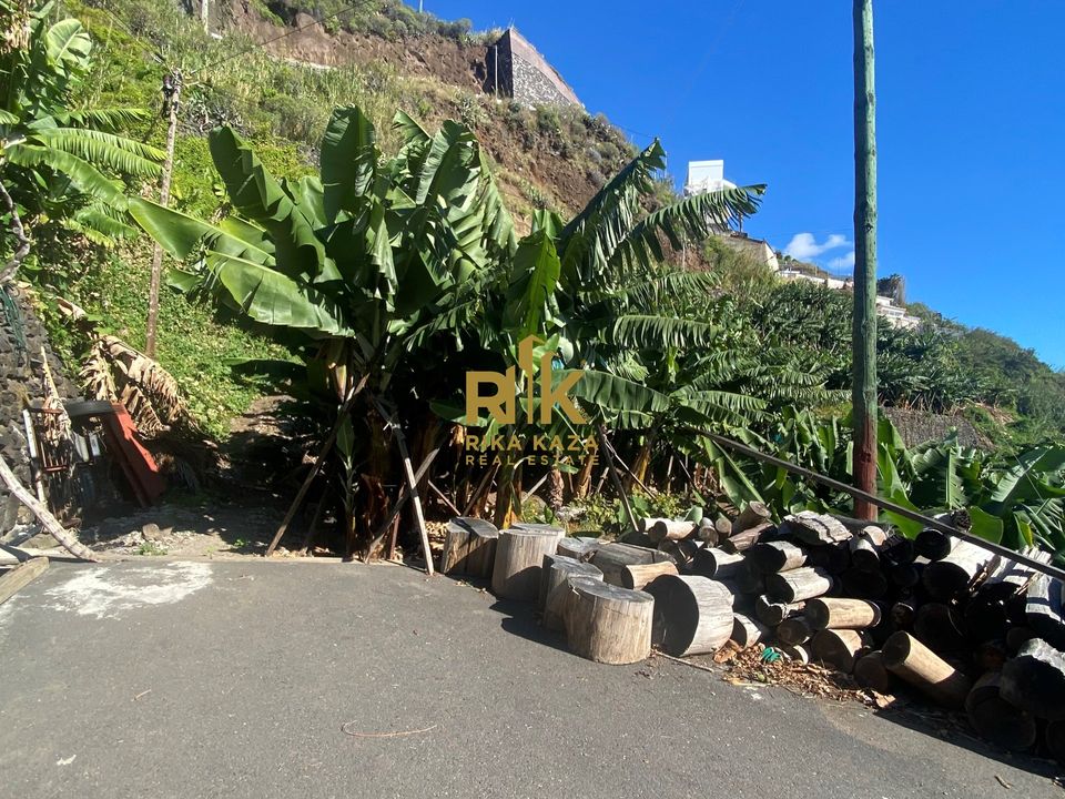 Helårsgrund i Calheta, Madeira - foto 4