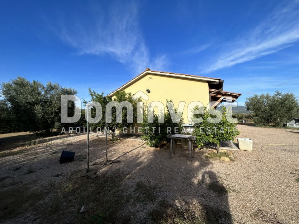 Landejendom i Capalbio, Grosseto - foto 2