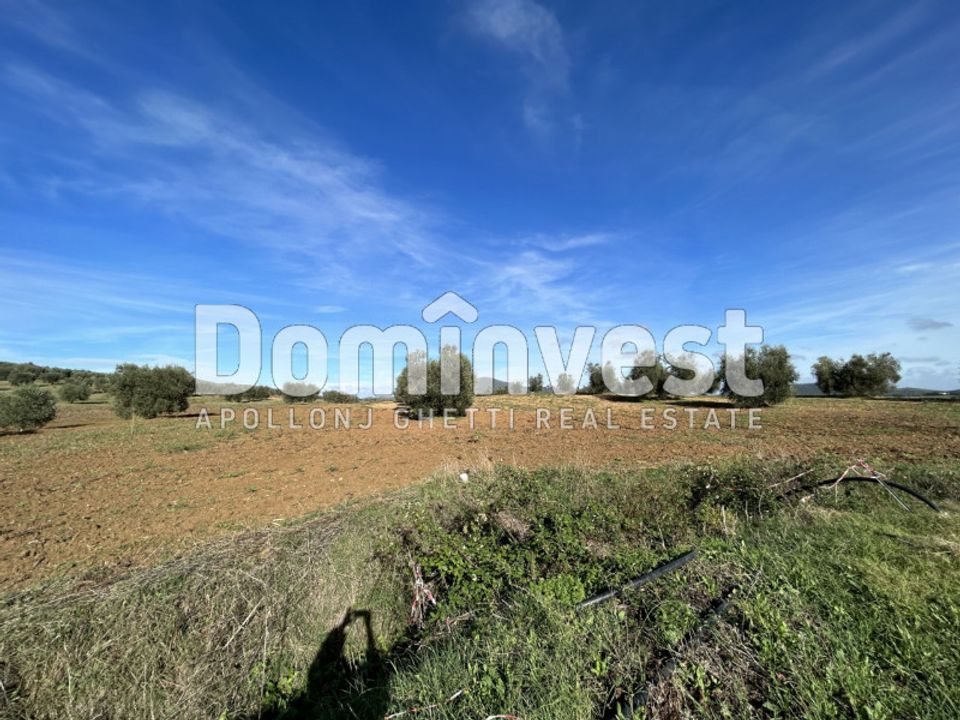 Landejendom i Capalbio, Grosseto - foto 4