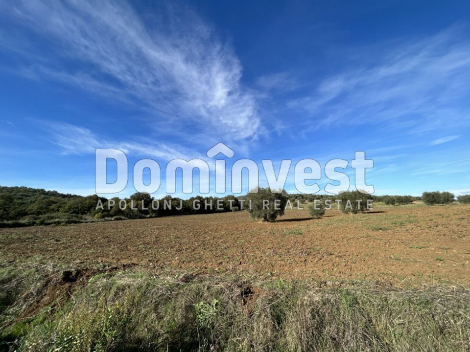 Landejendom i Capalbio, Grosseto - foto 5