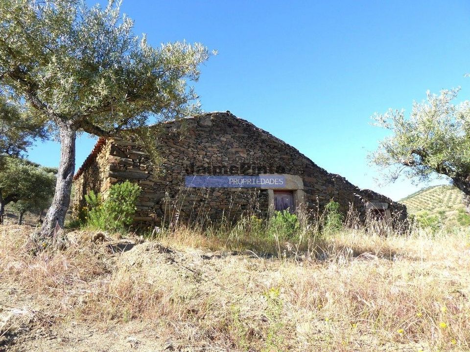 Helårsgrund i Figueira de Castelo Rodrigo, Guarda - foto 4