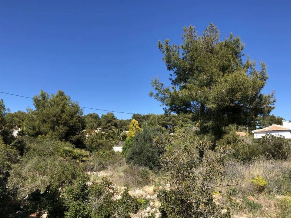 Helårsgrund i Javea, Alicante - foto 2