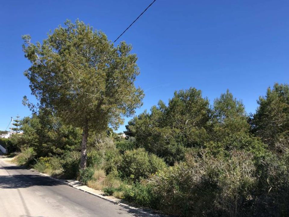 Helårsgrund i Javea, Alicante - foto 4