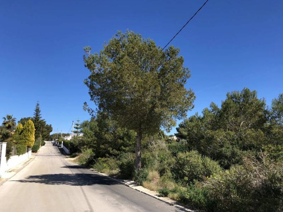Helårsgrund i Javea, Alicante - foto 5