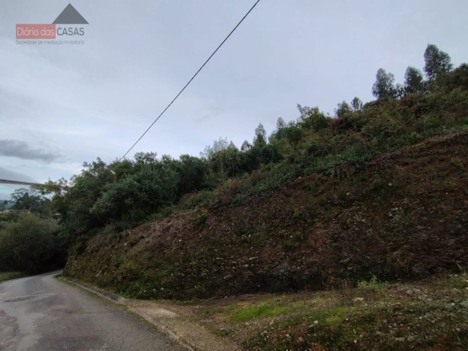 Tomt i Ceira, Coimbra - bilde 1
