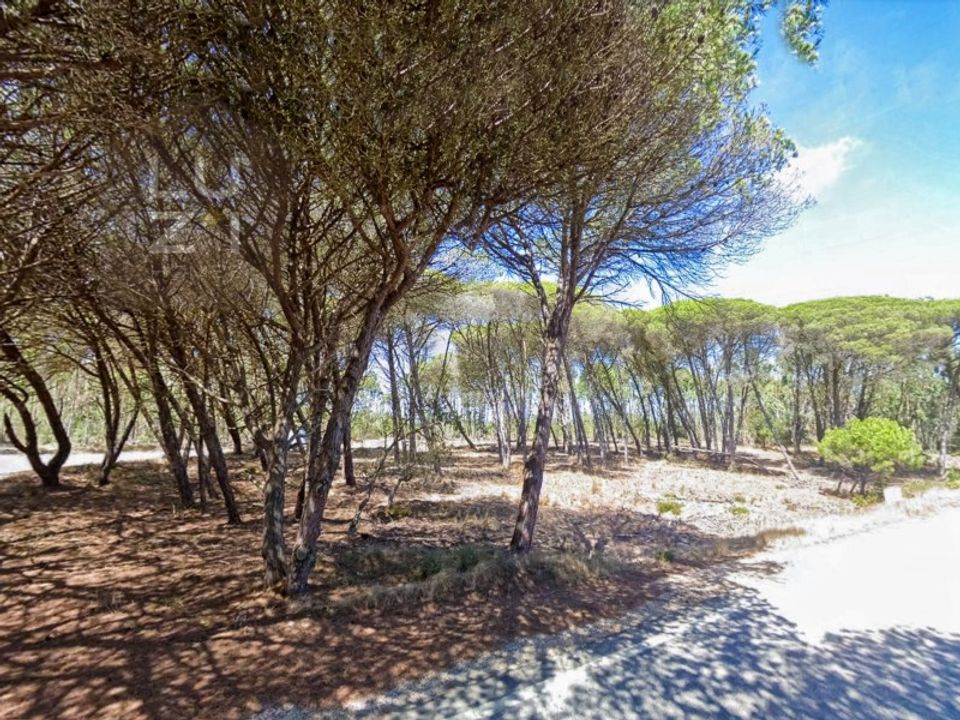 Helårsgrund i Sagres, Faro - foto 4