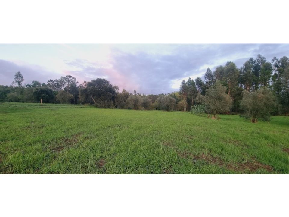 Helårsgrund i Souto da Carpalhosa e Ortigosa, Leiria - foto 2