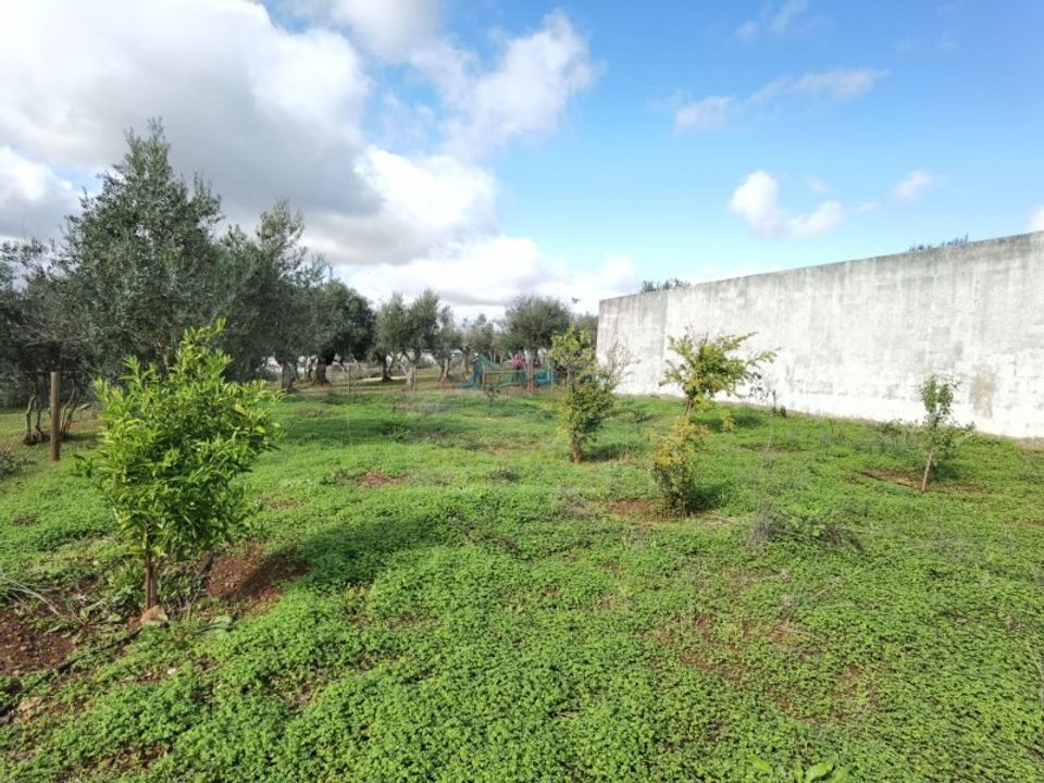 Helårsgrund i Alandroal, Evora - foto 2