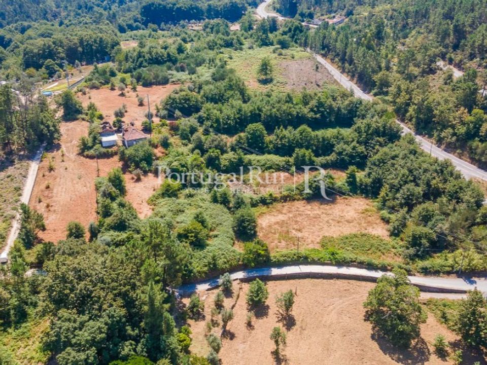 Gård i Vouzela, Viseu - foto 3