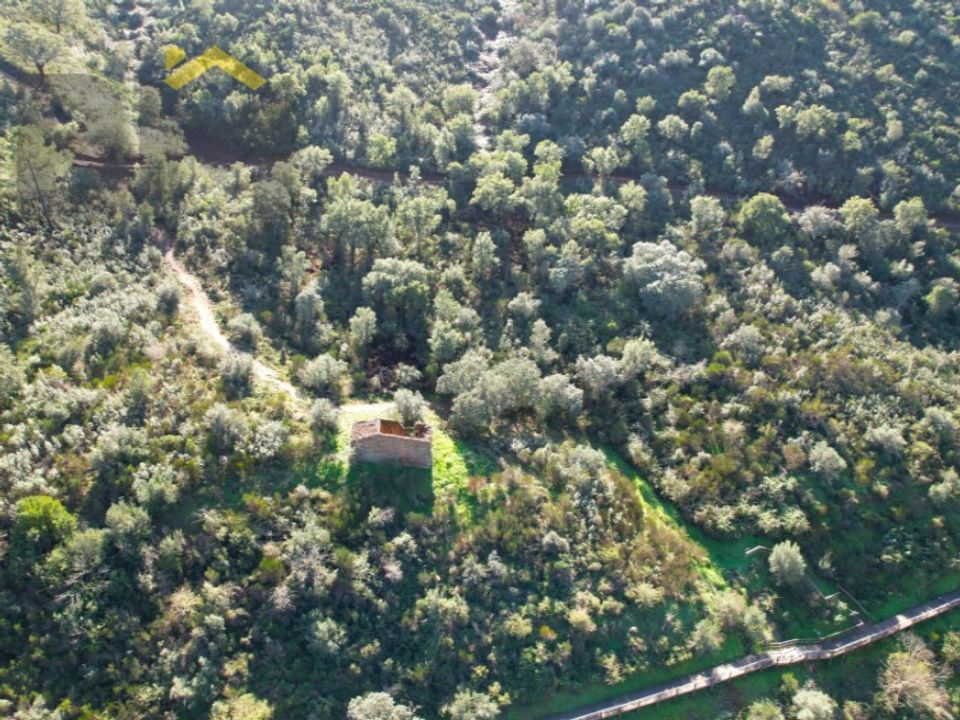 Helårsgrund i Arez e Amieira do Tejo, Portalegre - foto 4
