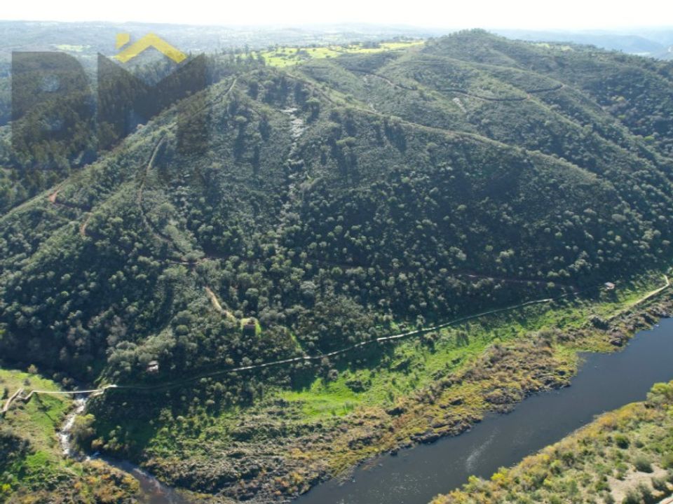 Helårsgrund i Arez e Amieira do Tejo, Portalegre - foto 5