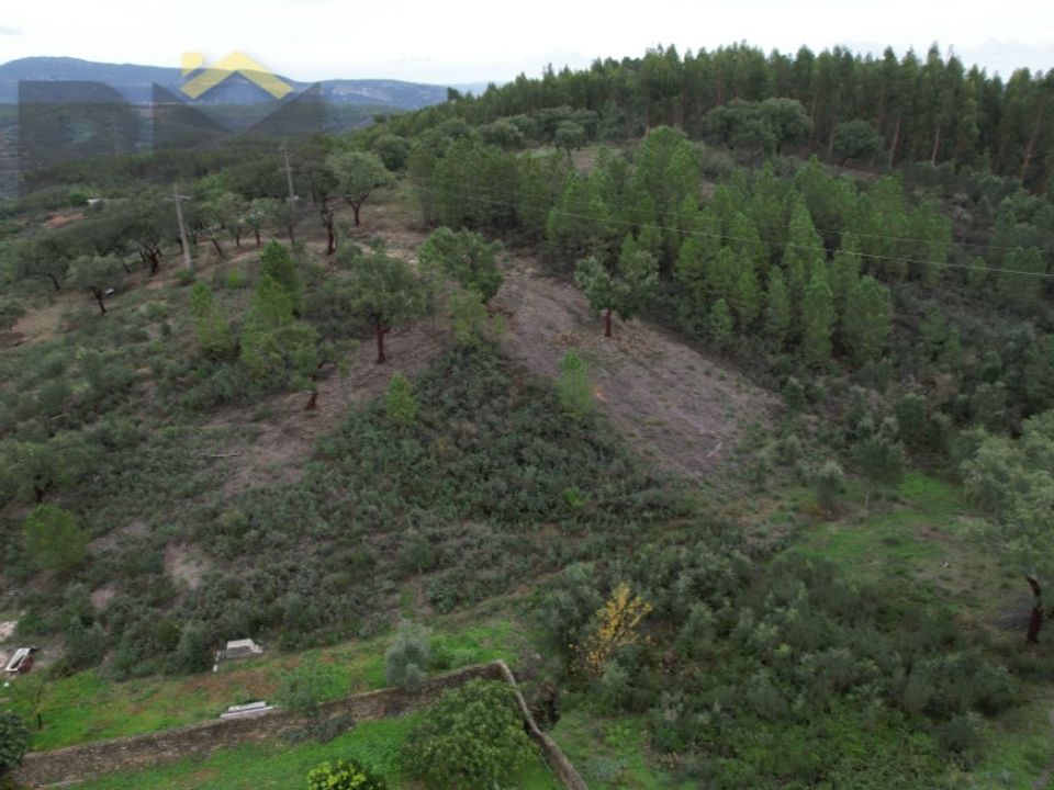 Terreno en Fratel, Castelo Branco - foto 5