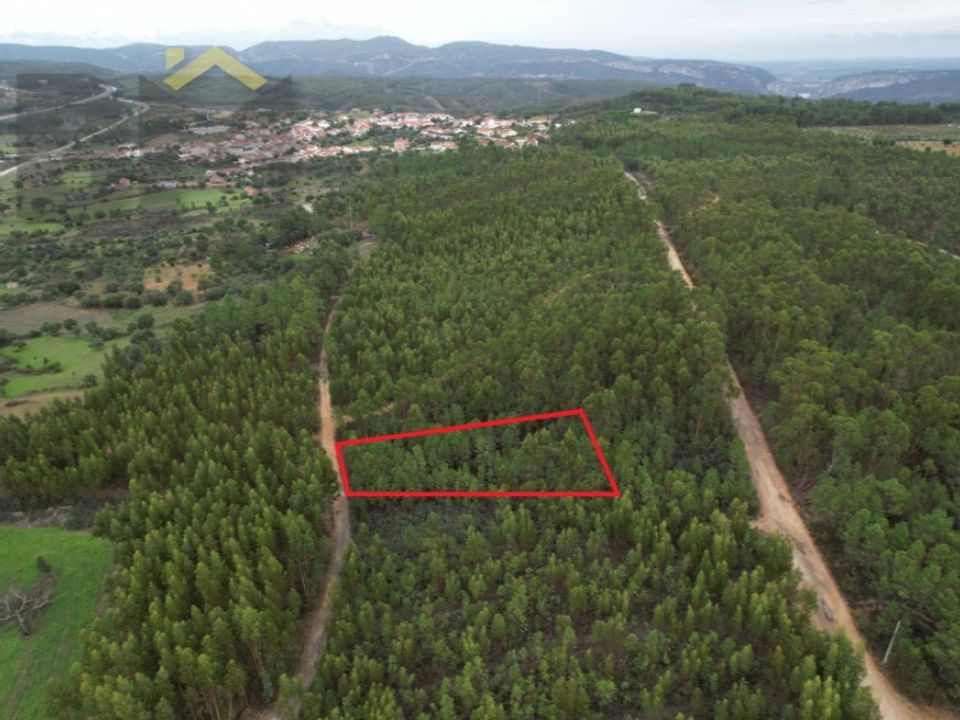 Terreno en Fratel, Castelo Branco - foto 1