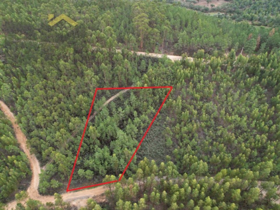 Terreno en Fratel, Castelo Branco - foto 2