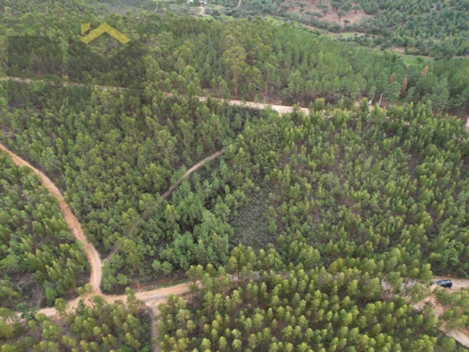 Terreno en Fratel, Castelo Branco - foto 3