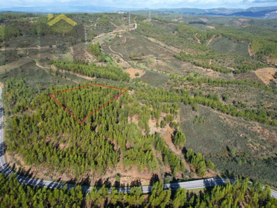 Terreno en Fratel, Castelo Branco - foto 1