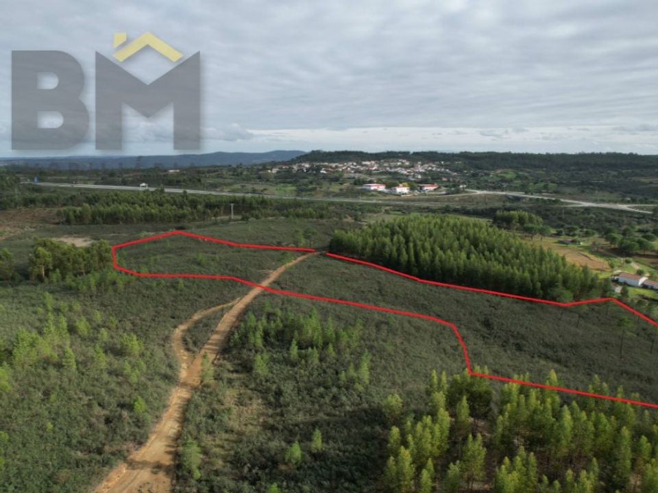 Terreno en Fratel, Castelo Branco - foto 1