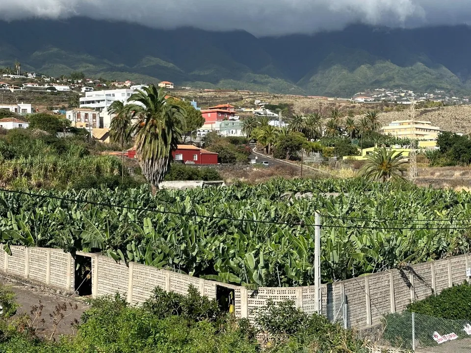 Helårsgrund i Brena Baja, La Palma - foto 2