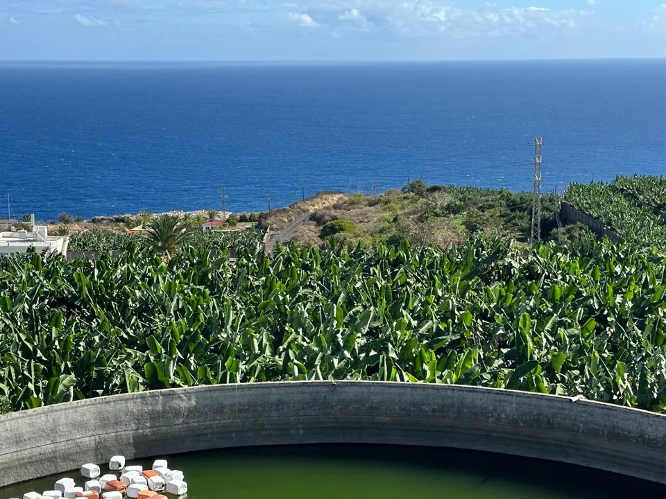 Helårsgrund i Brena Baja, La Palma - foto 3