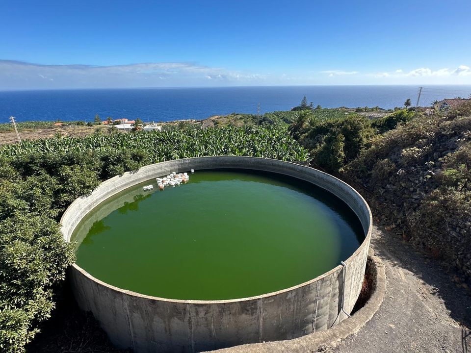 Helårsgrund i Brena Baja, La Palma - foto 2