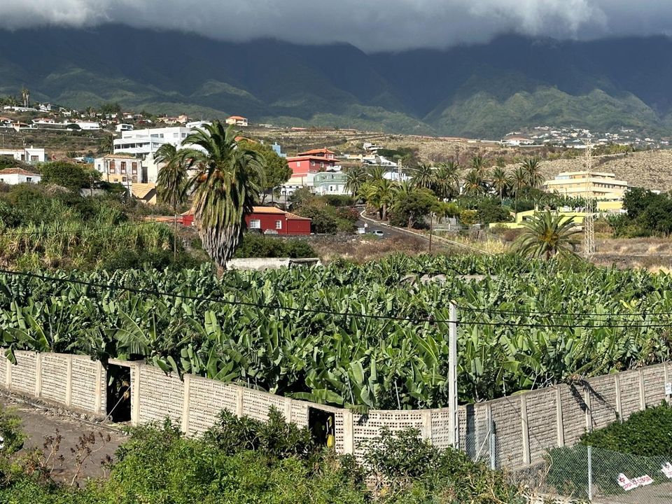 Helårsgrund i Brena Baja, La Palma - foto 3