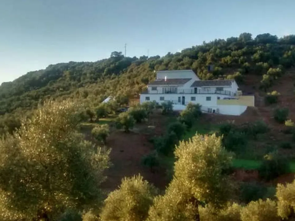 Landejendom i Montoro, Cordoba - foto 2
