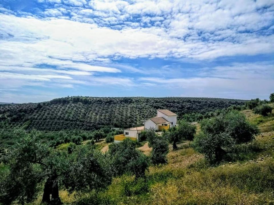 Landejendom i Montoro, Cordoba - foto 4