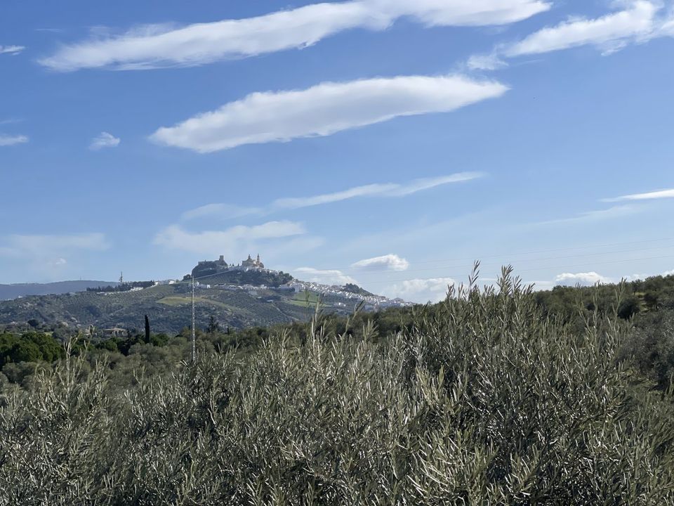 Finca i Olvera, Cadiz - foto 1