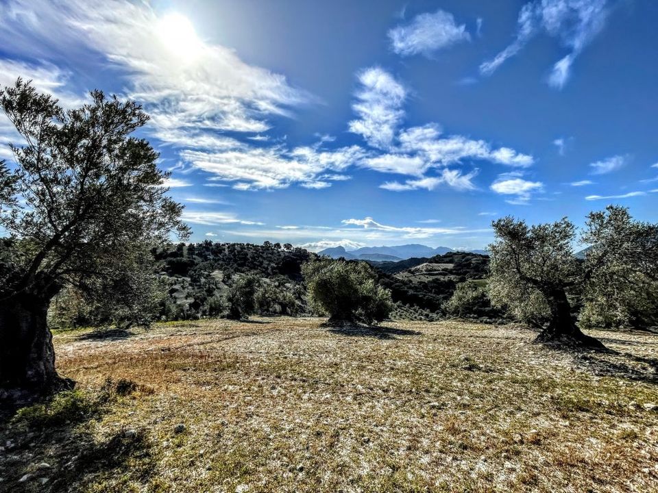 Finca i Olvera, Cadiz - foto 2