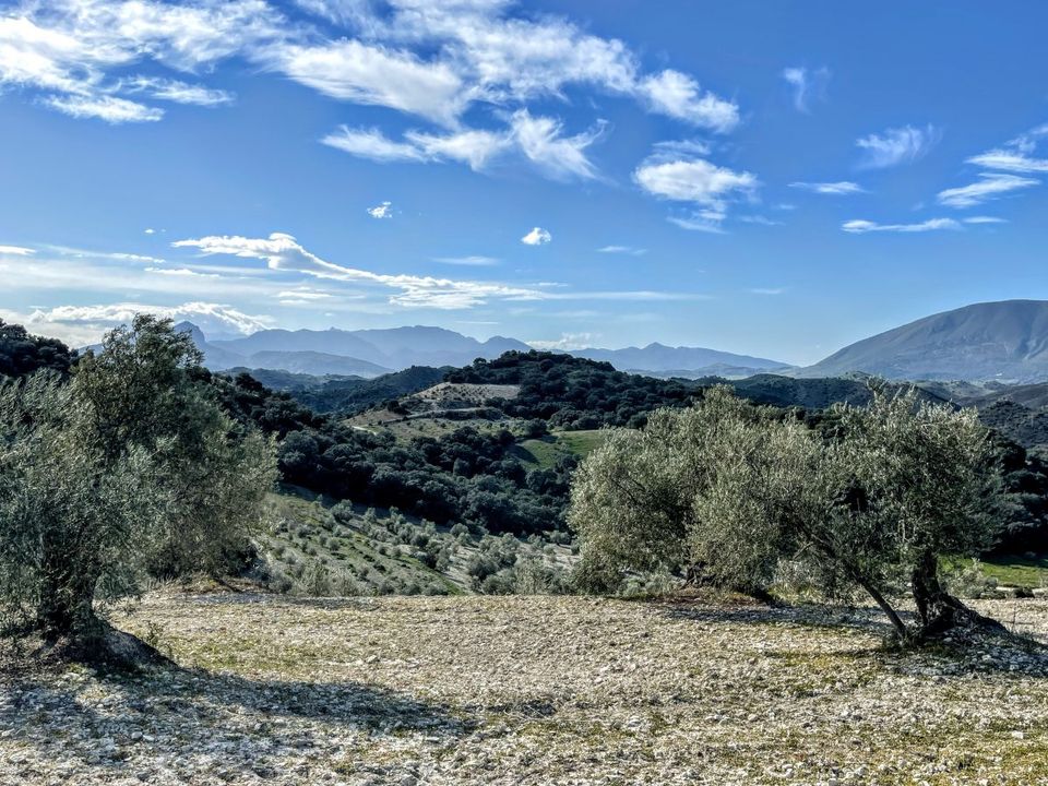 Finca i Olvera, Cadiz - bilde 4
