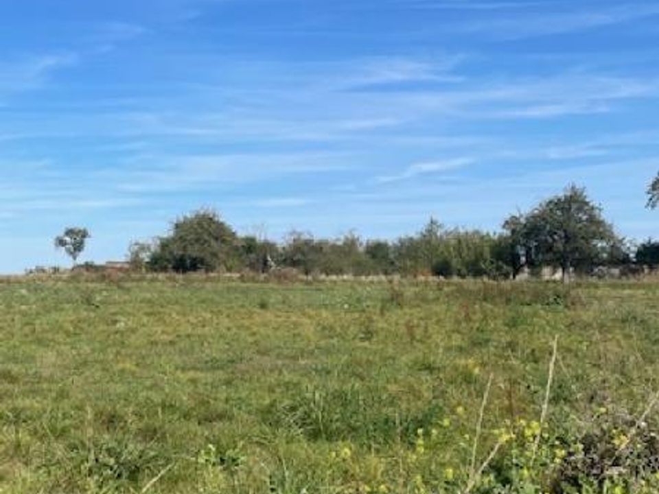Land in Jallaucourt, Moselle - photo 1