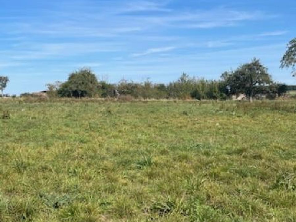 Land in Jallaucourt, Moselle - photo 2