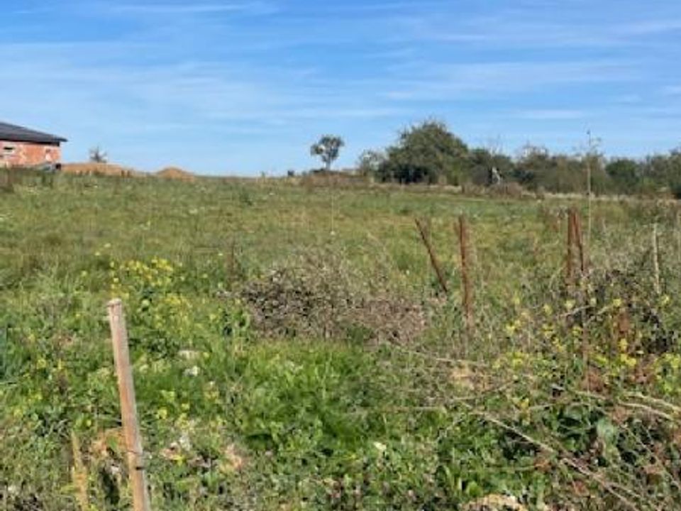 Land in Jallaucourt, Moselle - photo 3
