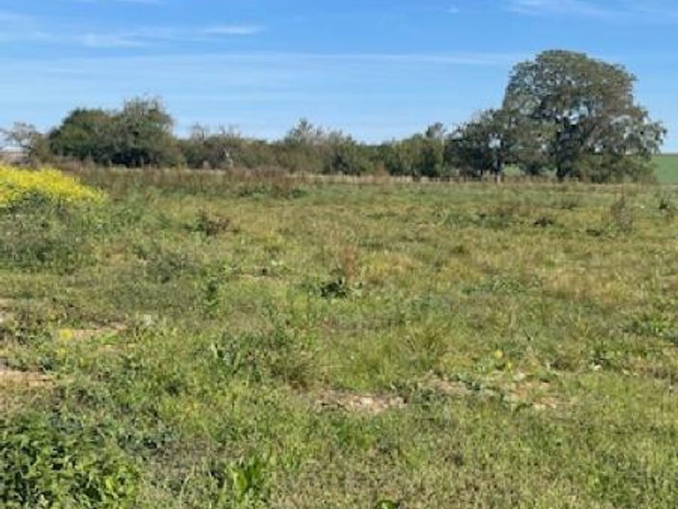 Land in Jallaucourt, Moselle - photo 3