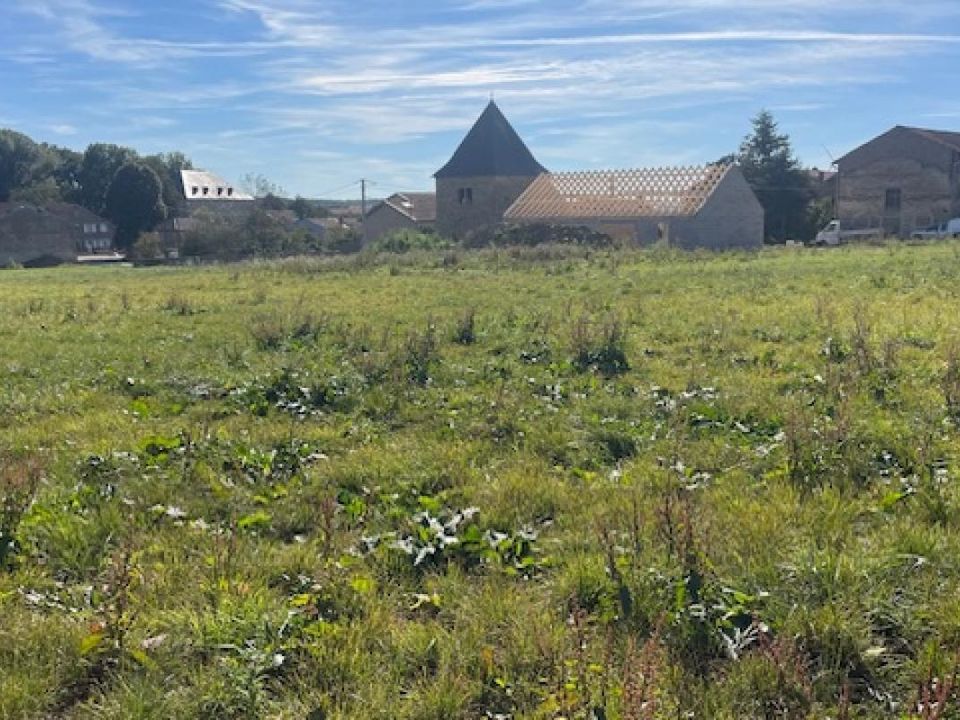 Land in Jallaucourt, Moselle - photo 1